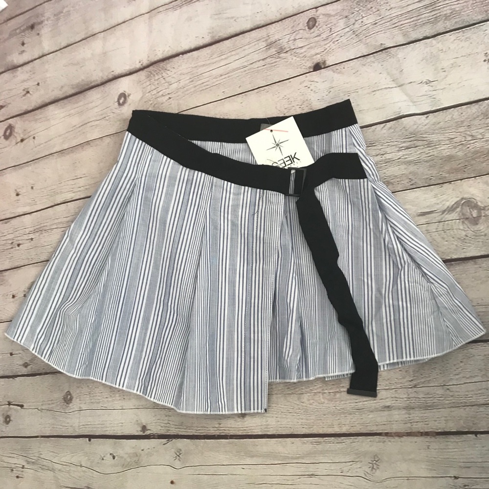 TL Seek Blue striped mini pleated skirt small